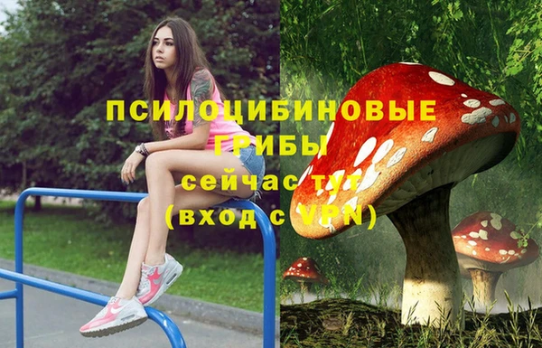 хмурый Алзамай