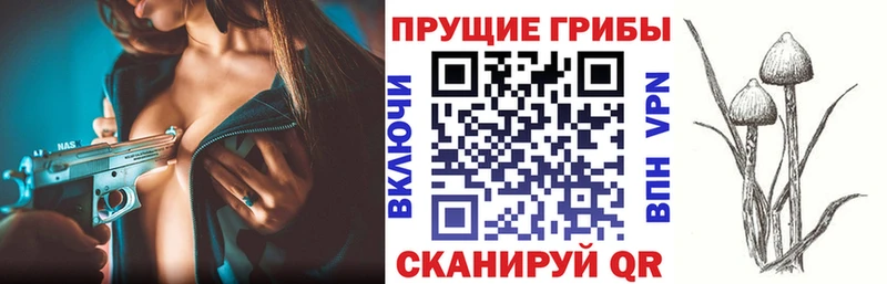 сколько стоит  Серов  Галлюциногенные грибы Cubensis 